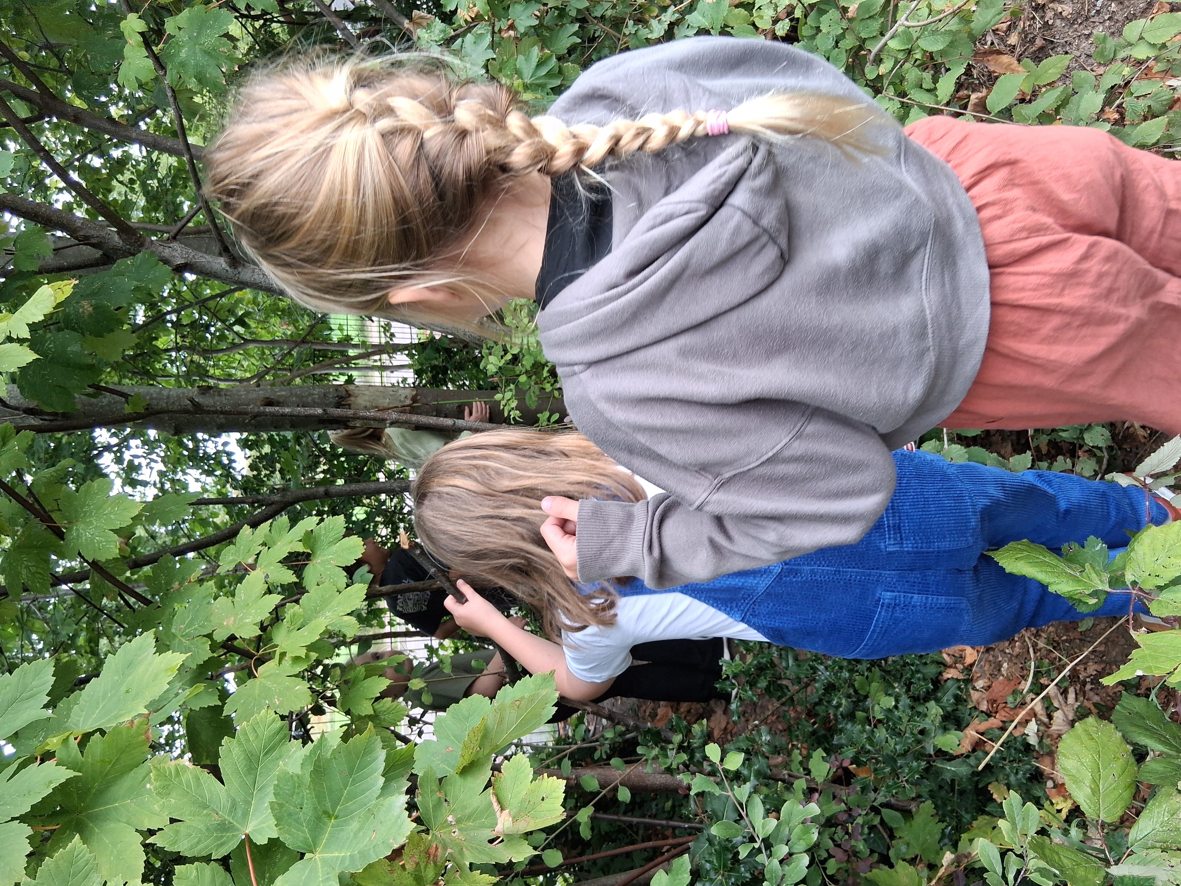 Op avontuur in de natuur 